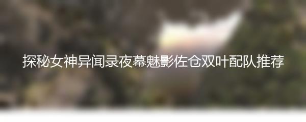 探秘女神异闻录夜幕魅影佐仓双叶配队推荐