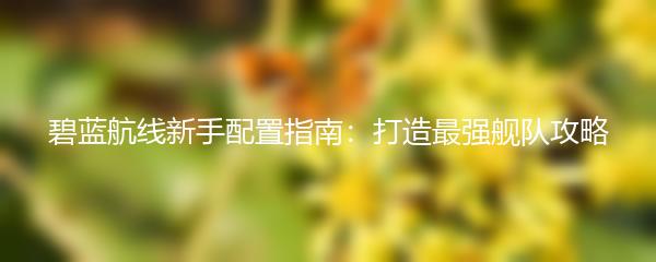 碧蓝航线新手配置指南：打造最强舰队攻略