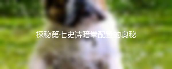 探秘第七史诗暗拳配置的奥秘