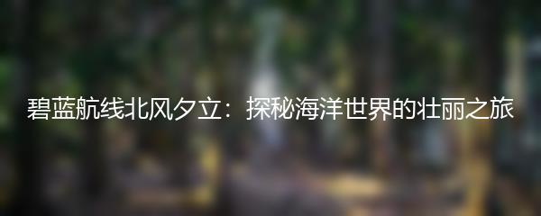 碧蓝航线北风夕立：探秘海洋世界的壮丽之旅