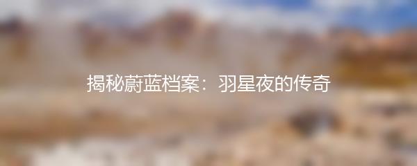 揭秘蔚蓝档案：羽星夜的传奇