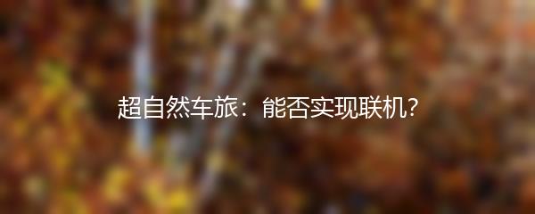超自然车旅：能否实现联机？