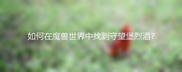 如何在魔兽世界中找到守望堡烈酒？