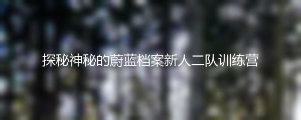 探秘神秘的蔚蓝档案新人二队训练营