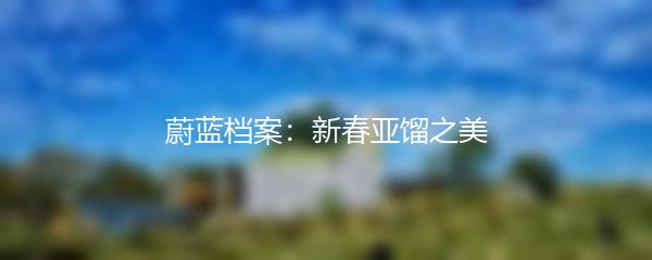 蔚蓝档案：新春亚馏之美