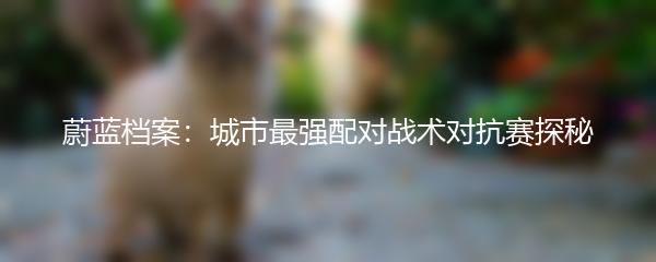 蔚蓝档案：城市最强配对战术对抗赛探秘