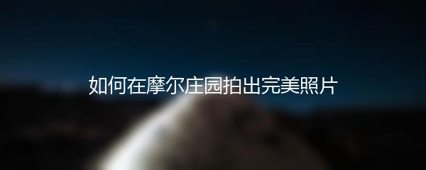 如何在摩尔庄园拍出完美照片