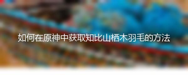 如何在原神中获取知比山栖木羽毛的方法
