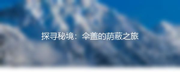 探寻秘境：伞盖的荫蔽之旅