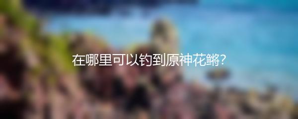 在哪里可以钓到原神花鳉？