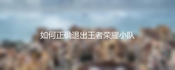 如何正确退出王者荣耀小队