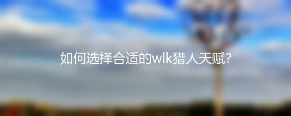 如何选择合适的wlk猎人天赋？