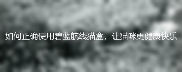 如何正确使用碧蓝航线猫盒，让猫咪更健康快乐