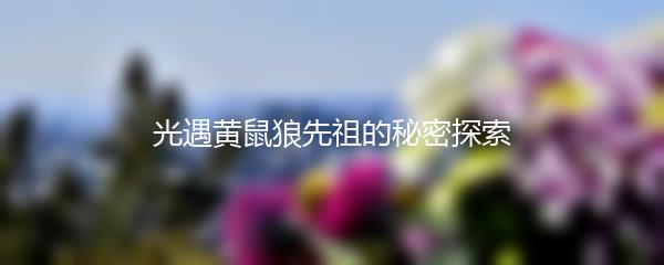 光遇黄鼠狼先祖的秘密探索