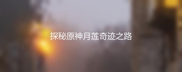 探秘原神月莲奇迹之路