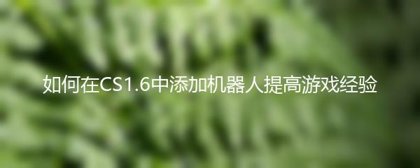 如何在CS1.6中添加机器人提高游戏经验