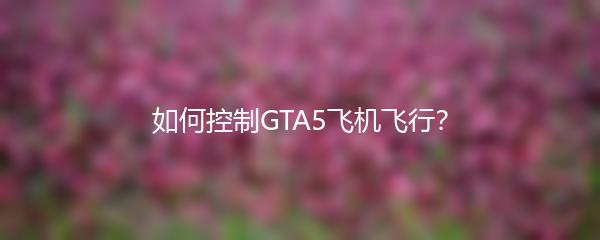 如何控制GTA5飞机飞行？