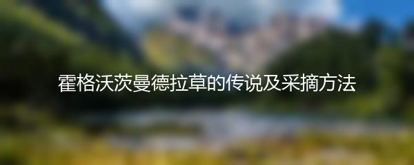 霍格沃茨曼德拉草的传说及采摘方法