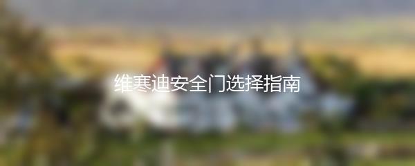 维寒迪安全门选择指南