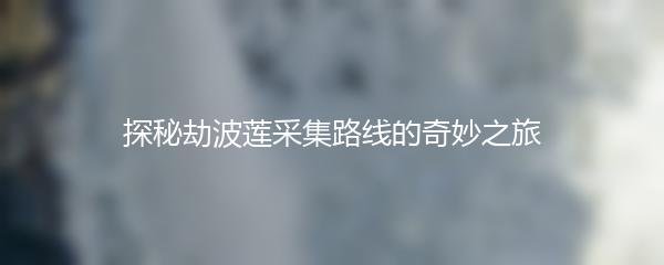 探秘劫波莲采集路线的奇妙之旅