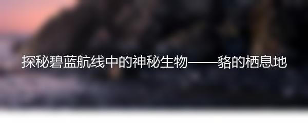 探秘碧蓝航线中的神秘生物——貉的栖息地