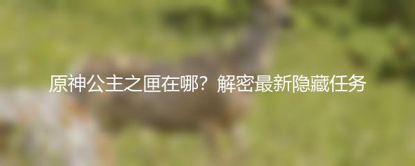 原神公主之匣在哪？解密最新隐藏任务