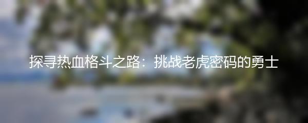 探寻热血格斗之路：挑战老虎密码的勇士