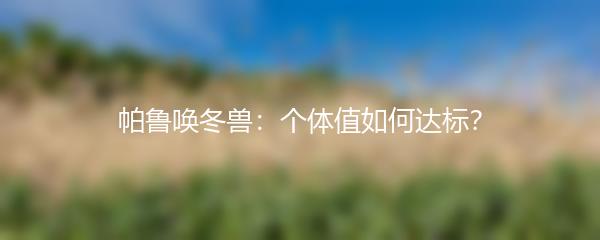 帕鲁唤冬兽：个体值如何达标？