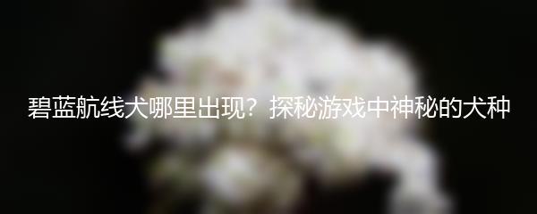 碧蓝航线犬哪里出现？探秘游戏中神秘的犬种