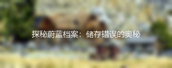 探秘蔚蓝档案：储存错误的奥秘