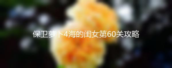 保卫萝卜4海的闺女第60关攻略