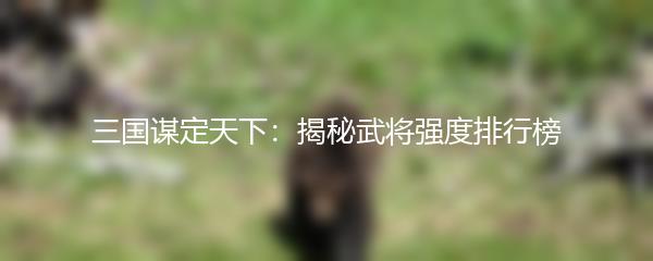 三国谋定天下：揭秘武将强度排行榜