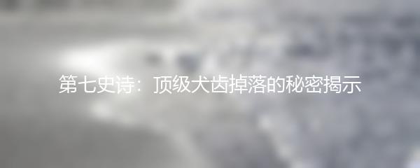 第七史诗：顶级犬齿掉落的秘密揭示