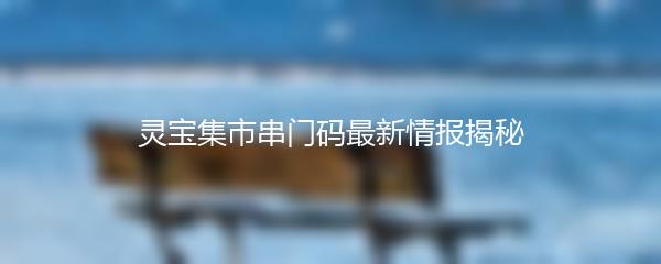 灵宝集市串门码最新情报揭秘