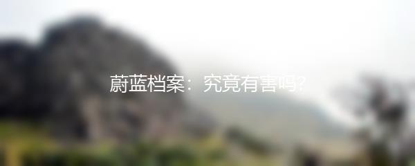 蔚蓝档案：究竟有害吗？