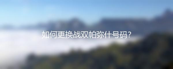 如何更换战双帕弥什号码？