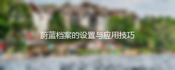 蔚蓝档案的设置与应用技巧