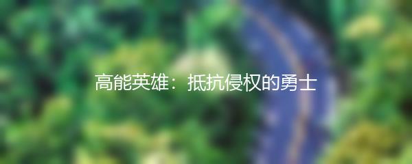 高能英雄：抵抗侵权的勇士