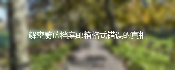 解密蔚蓝档案邮箱格式错误的真相