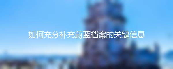 如何充分补充蔚蓝档案的关键信息