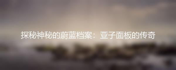 探秘神秘的蔚蓝档案：亚子面板的传奇