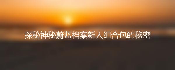 探秘神秘蔚蓝档案新人组合包的秘密