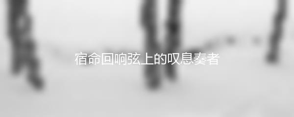 宿命回响弦上的叹息奏者