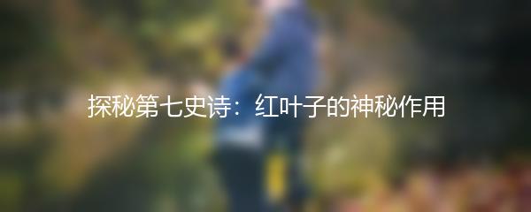 探秘第七史诗：红叶子的神秘作用