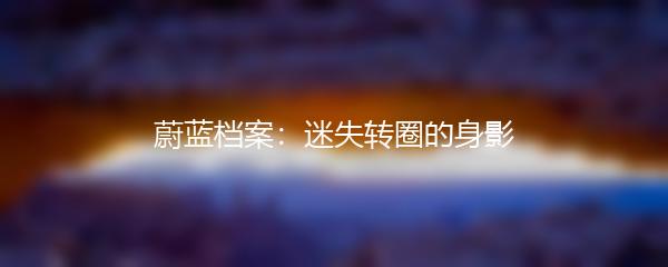 蔚蓝档案：迷失转圈的身影