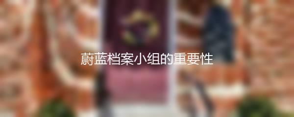 蔚蓝档案小组的重要性