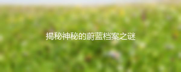 揭秘神秘的蔚蓝档案之谜