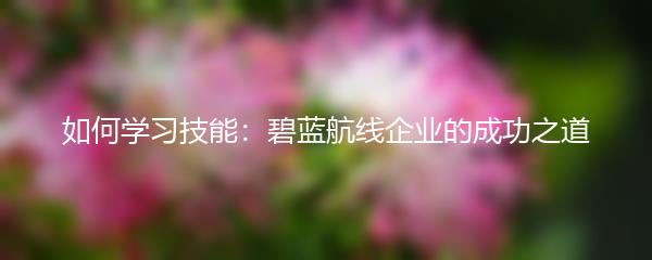 如何学习技能：碧蓝航线企业的成功之道