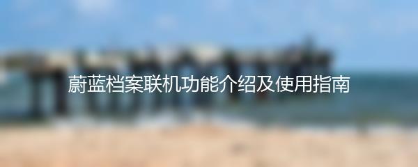 蔚蓝档案联机功能介绍及使用指南