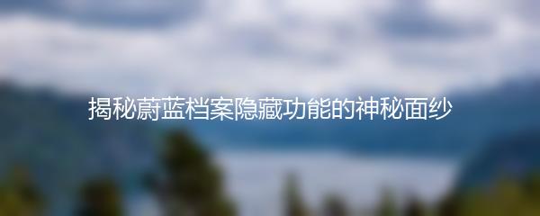 揭秘蔚蓝档案隐藏功能的神秘面纱